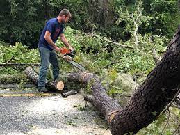 Best Aeration Services  in Indian Harbour Beach, FL
